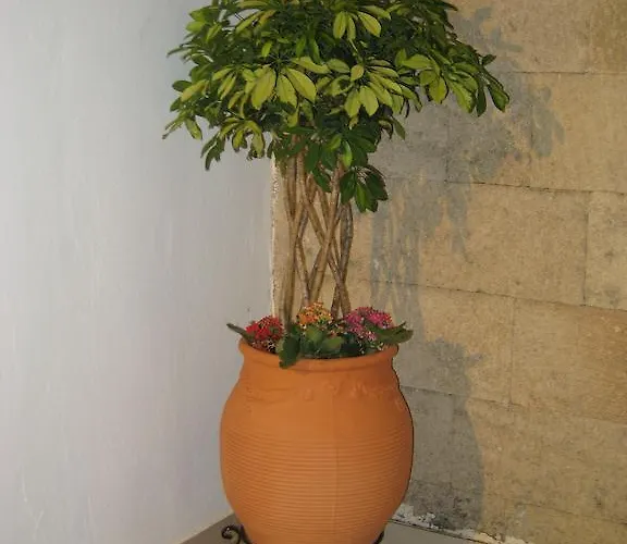 Appartement Eleftheria Lindian I Lindos (Rhodes)