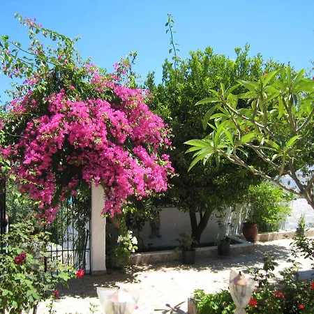 Apartment Eleftheria Lindian I *