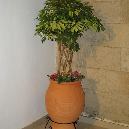 Apartment Eleftheria Lindian I Lindos (Rhodes)