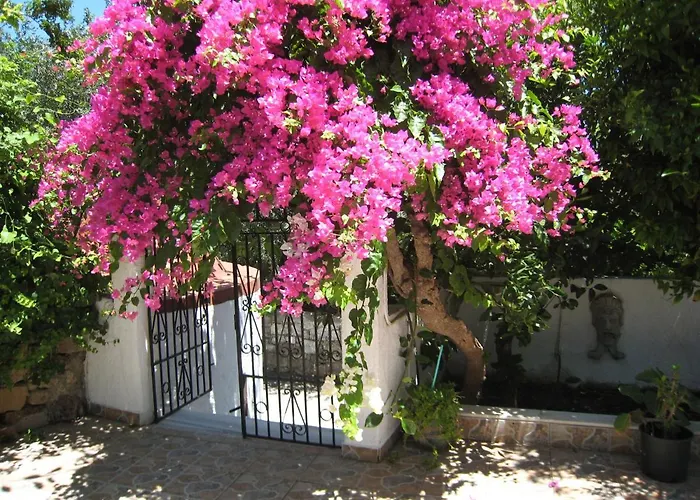 Eleftheria Lindian I